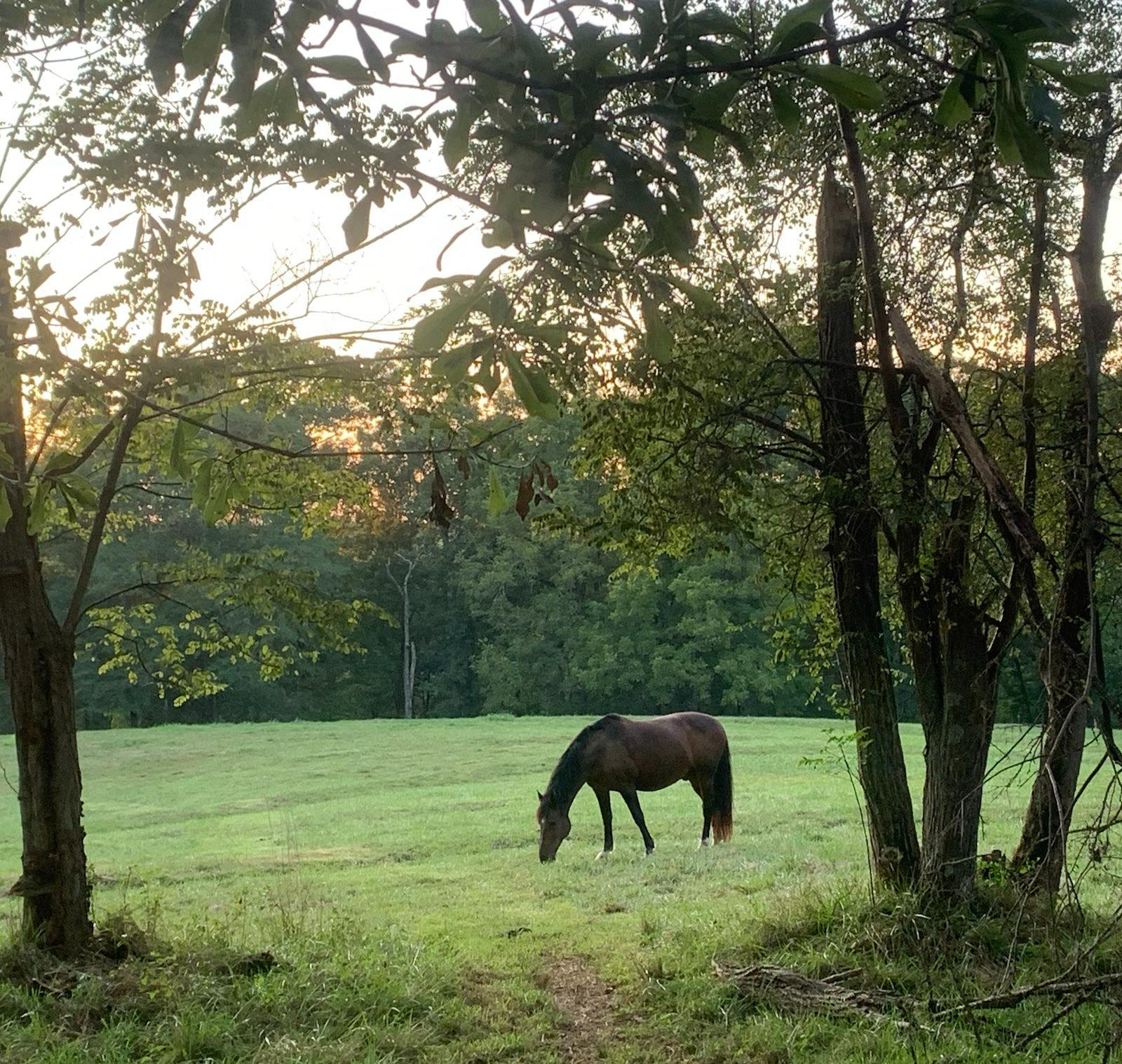 My Riverbend Journey Comes to an End